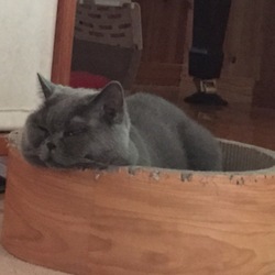 「季節の変わり目 健康管理」サムネイル2