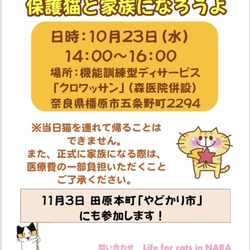 保護猫と家族になろうよ