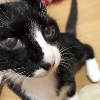 元気いっぱい！靴下ちゃん