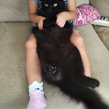 次女にまで甘えて腹天リラックスなルーちゃん(=^・^=)