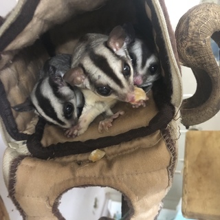 里親さん決まりました！ 