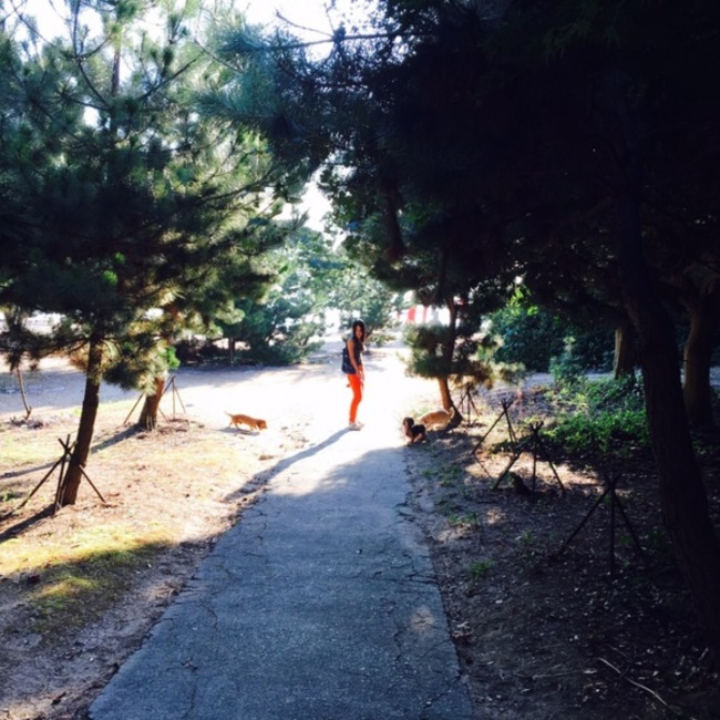 いまだ家のカバー写真