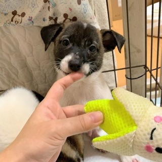 おっとりさん男の子 雲くん