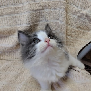 ありがとうございました