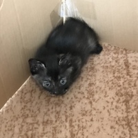 堀尾まどか