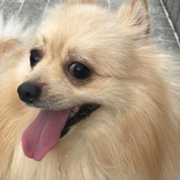 らすく