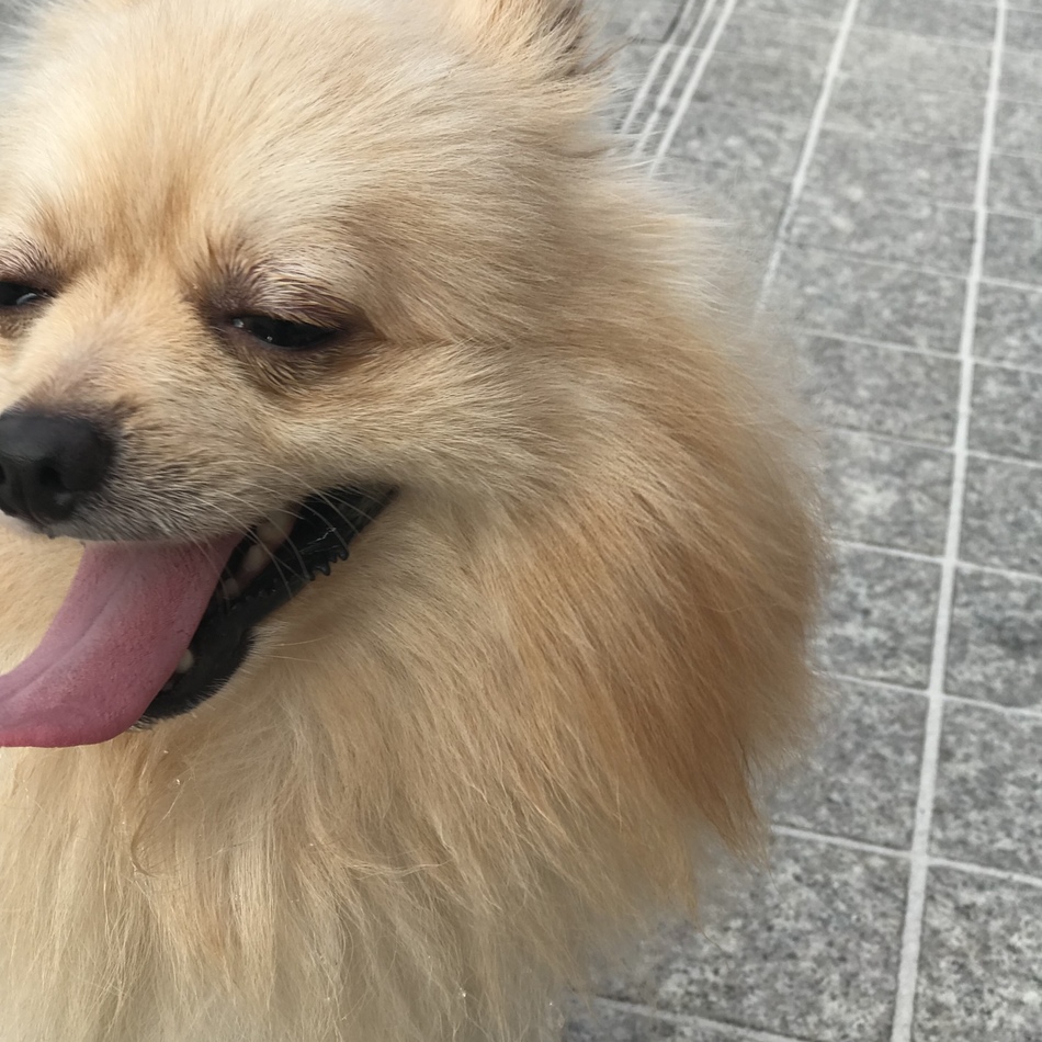 らすくのカバー写真