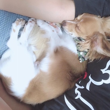 腕まくらでスヤ〜♡