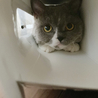 の写真