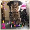 風香二歳の誕生日