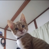 Ruru さん