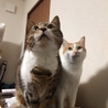 まい(^-^)