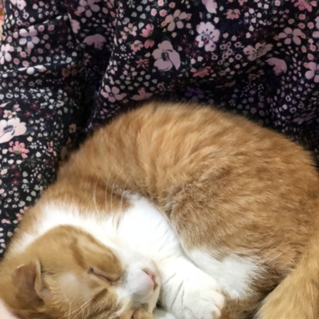 表現の重要さのカバー写真