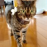 よく見ると女の子らしい顔つきです