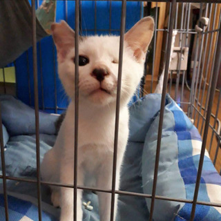 ありがとうございました