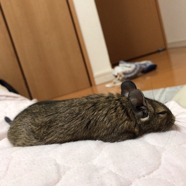 の写真