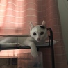 なおちゃん☆参上