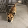 里親様が決まりました♡有難うございました！ サムネイル3