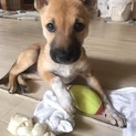 お見合い予定につき一時停止します
