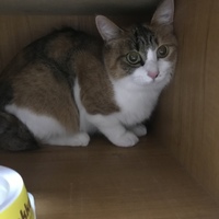 うる