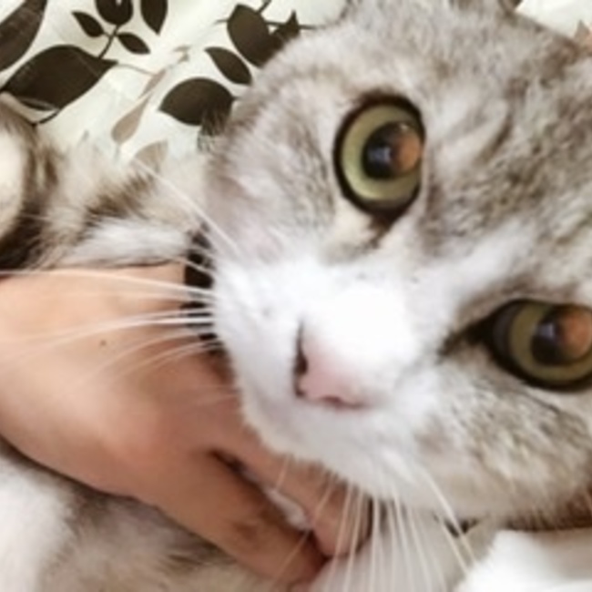 みなぴ92のカバー写真
