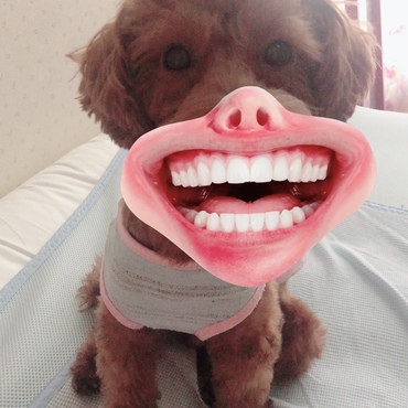 加工わろた