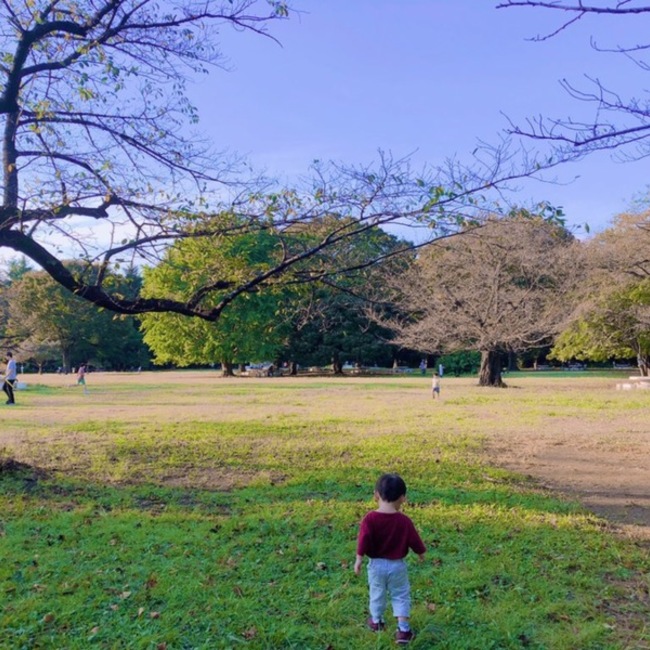 naao0315のカバー写真