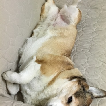 の写真