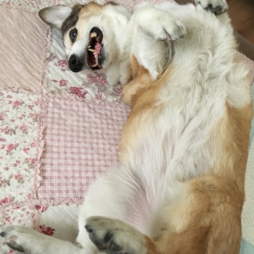の写真