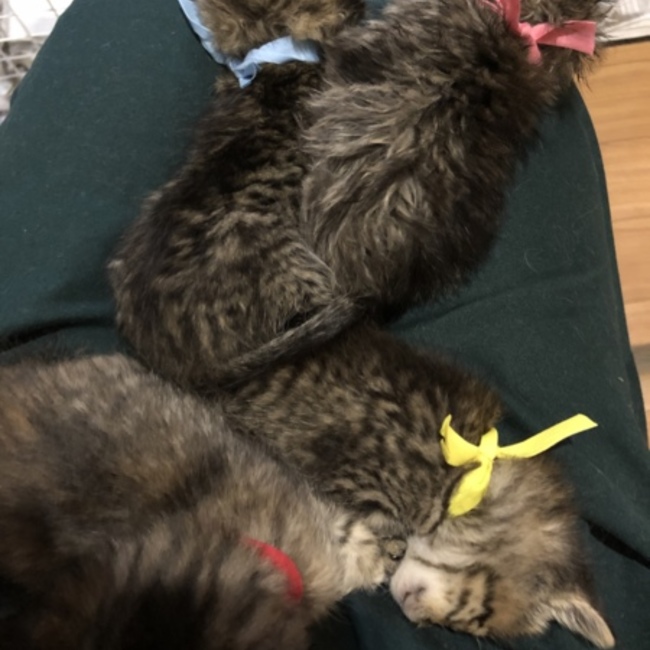 Kairi725のカバー写真