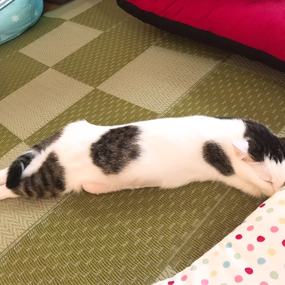 なみのカバー写真