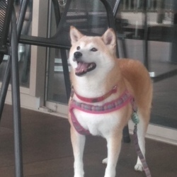 ♥葵*おめでとう♥