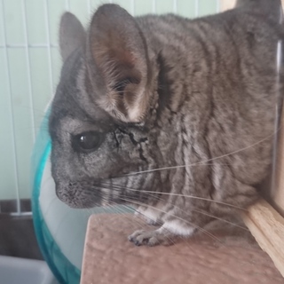 たくさん御応募頂き有難うございました。