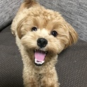 たくさんのご応募ありがとうございました