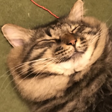 の写真