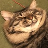 の写真