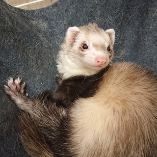 元気な女の子☆