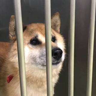 人懐っこい海穏（かお）くん