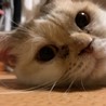 まる