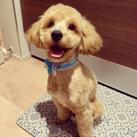 福助