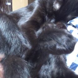 乳歯さよならー