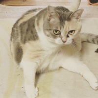 まる