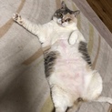 甘えるのが大好きです