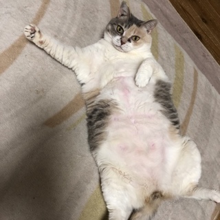 甘えるのが大好きです