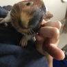  さん