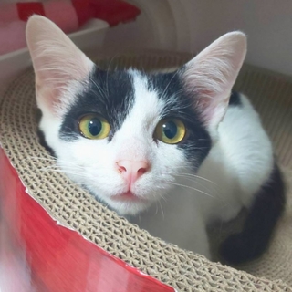 甘えん坊★フジオ君