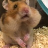 餌詰めすぎw