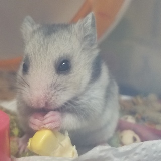 ありがとうございました！