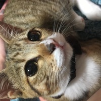 クク