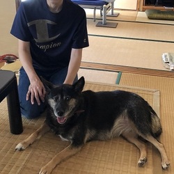 アイしゃんトライアルスタート